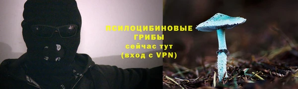 мдпв Зеленокумск