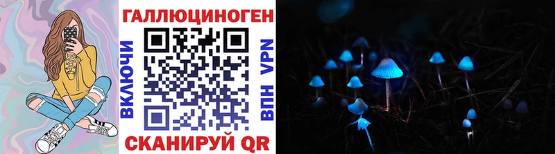 Псилоцибиновые грибы Psilocybine cubensis  цена   Камбарка 